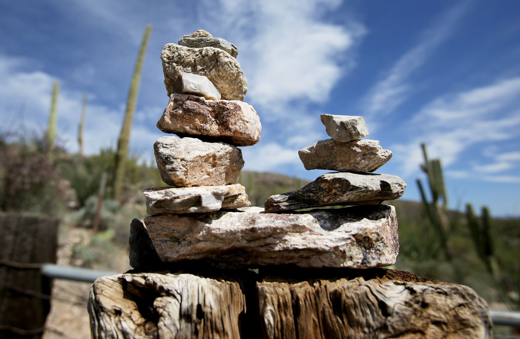 Pima Canyon Trail